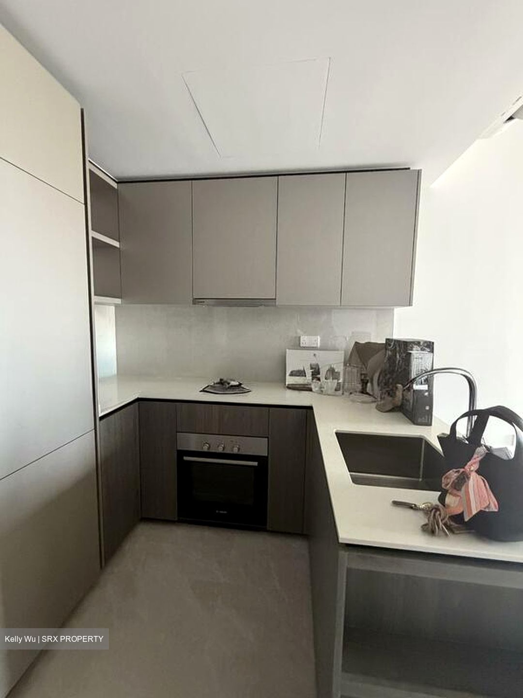 Piccadilly Grand (D8), Apartment #503773231